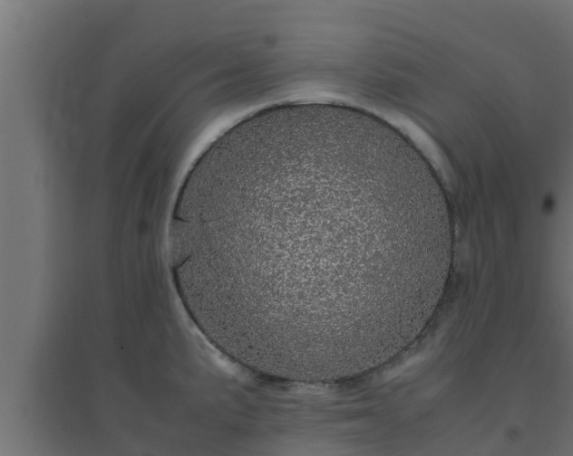 X0000094821191200711241501