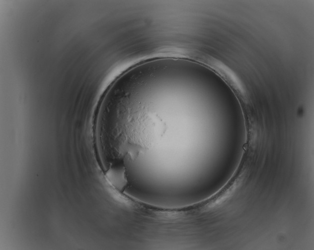 X0000094821192200711241501