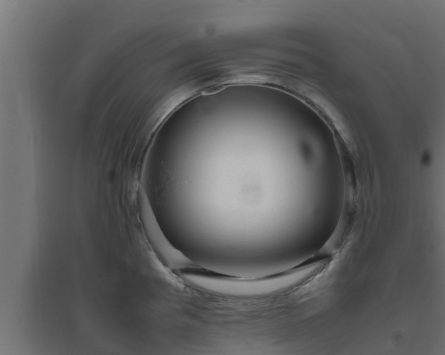 X0000094821193200711241501