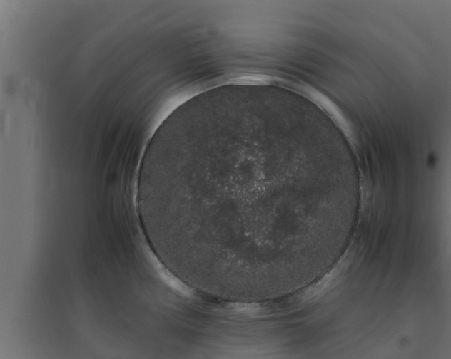 X0000094821194200711241501