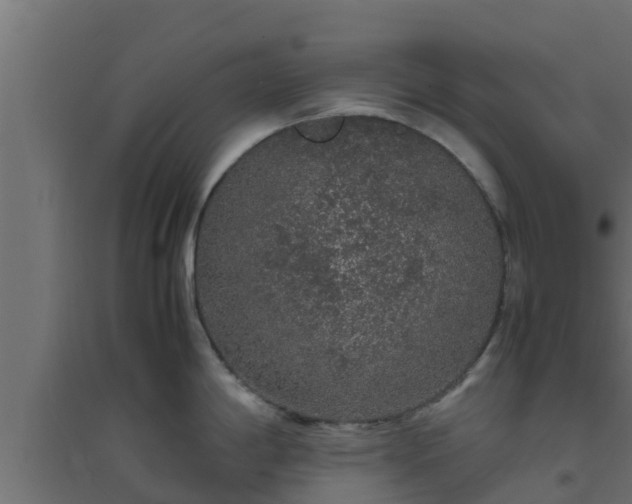 X0000094821198200711241501