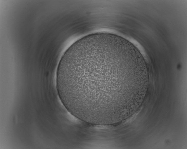 X0000094821199200711241501