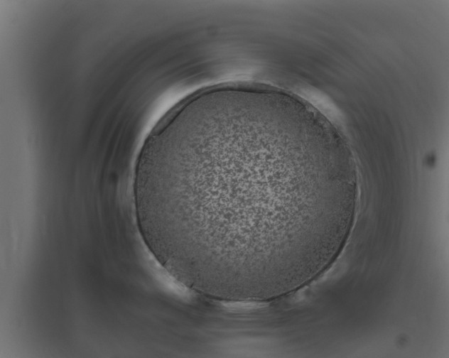 X0000094821200200711241501