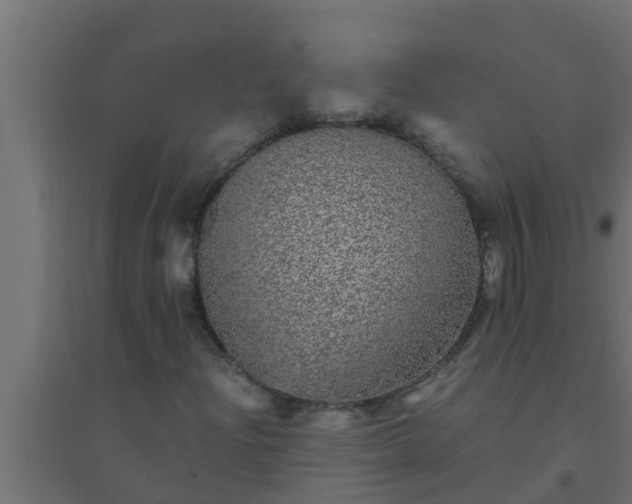 X0000094821204200711241500