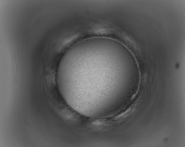 X0000094821205200711241500