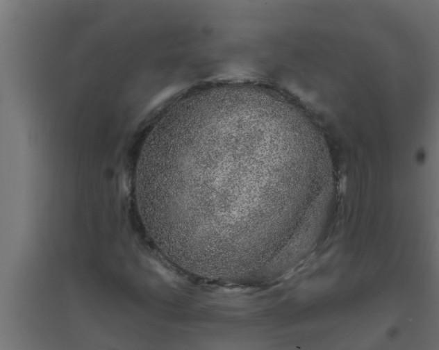 X0000094821206200711241500