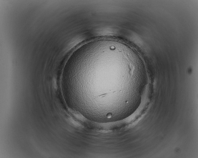 X0000094821209200711241500