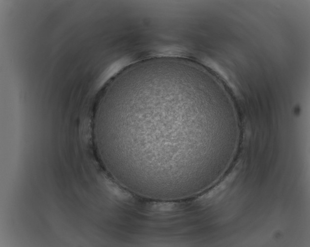 X0000094821211200711241500