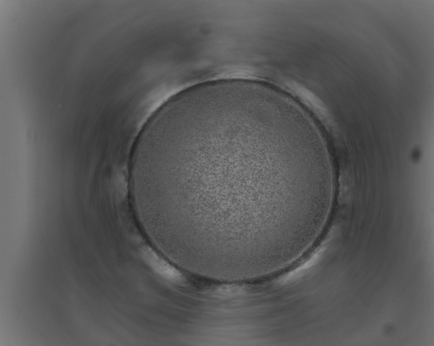 X0000094821212200711241500