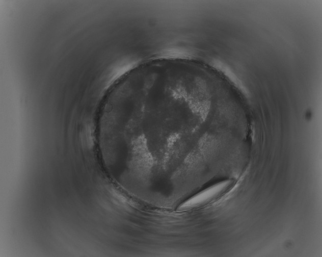 X0000094821213200711241500