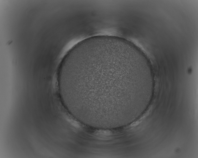 X0000094821215200711241500