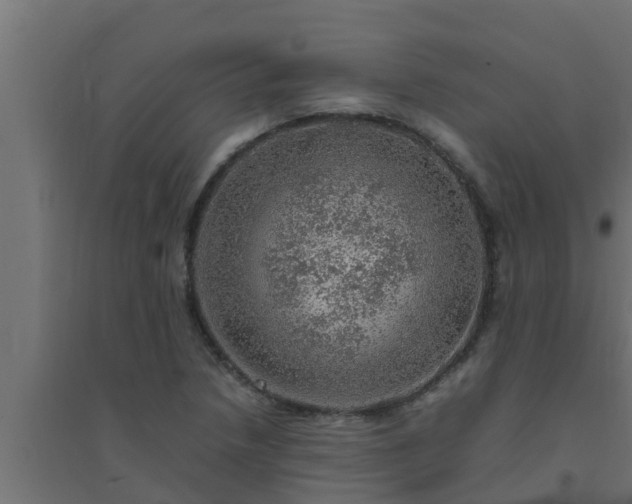 X0000094821218200711241500