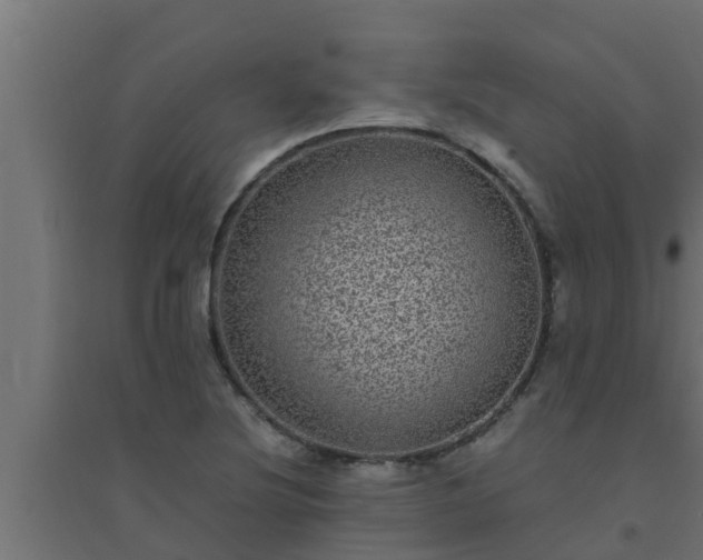 X0000094821220200711241500