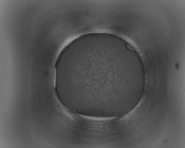X0000094821223200711241500