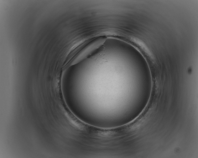 X0000094821225200711241500