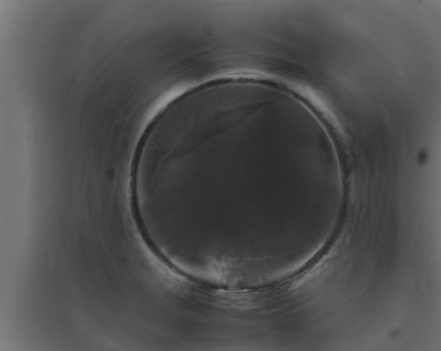 X0000094821229200711241500