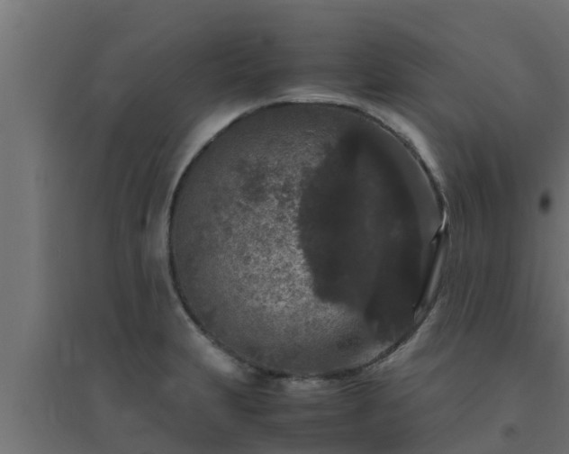 X0000094821231200711241501