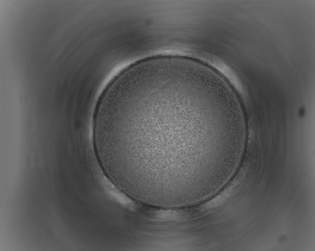 X0000094821232200711241501