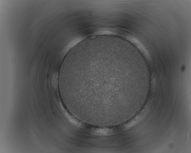 X0000094821233200711241501