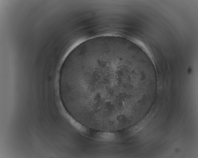 X0000094821235200711241501