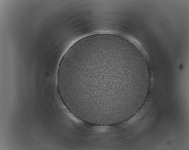 X0000094821236200711241501