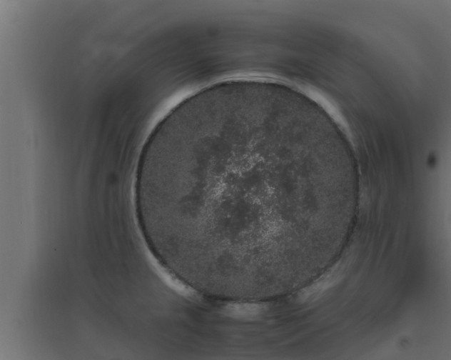 X0000094821237200711241501