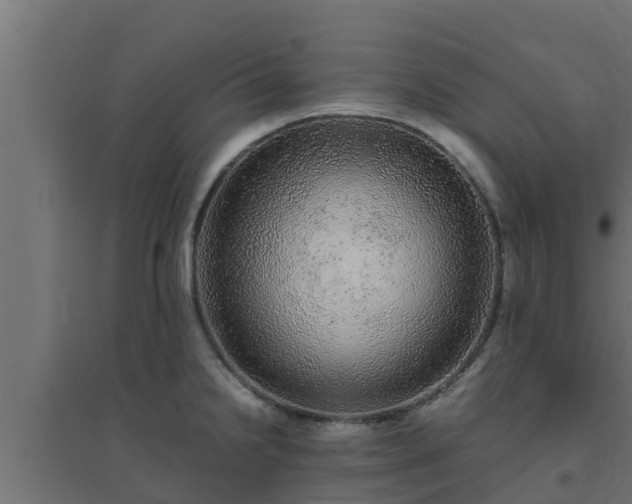 X0000094821238200711241501