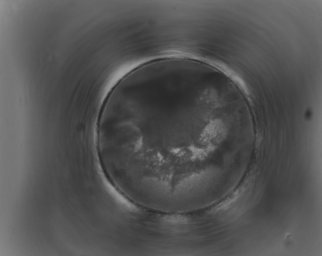 X0000094821239200711241501
