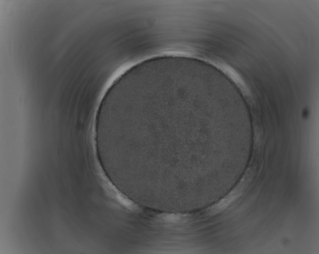 X0000094821240200711241501