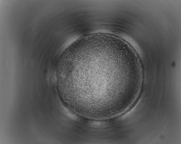 X0000094821241200711241501