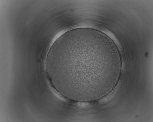 X0000094821242200711241501