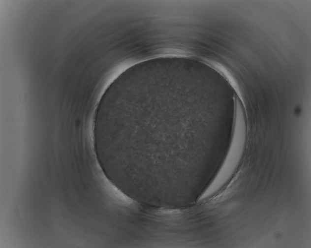 X0000094821243200711241501