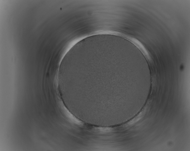 X0000094821244200711241501