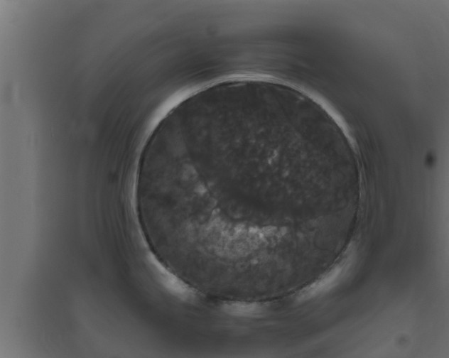 X0000094821245200711241501