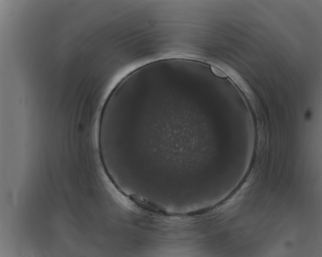 X0000094821246200711241501