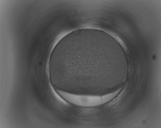X0000094821247200711241501