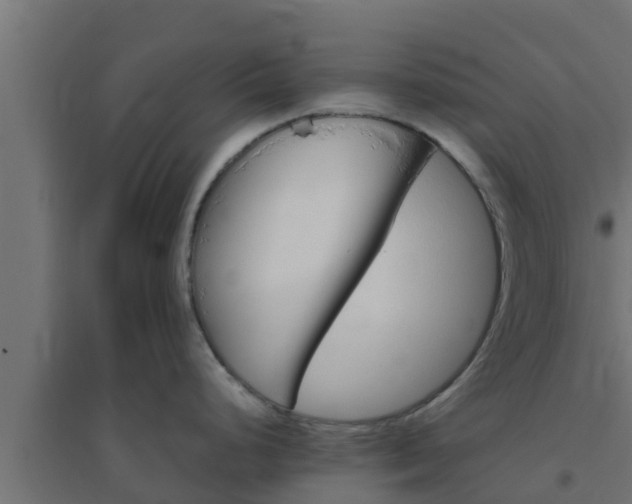 X0000094821248200711241501