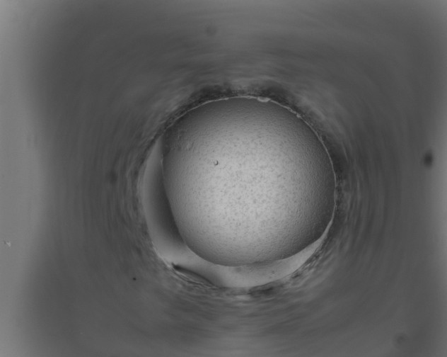 X0000094821249200711241500