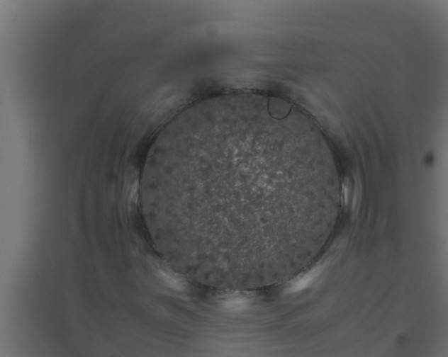 X0000094821251200711241500