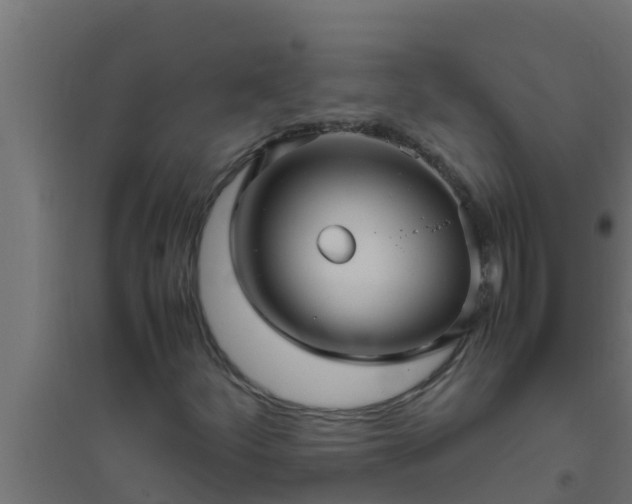 X0000094821252200711241500