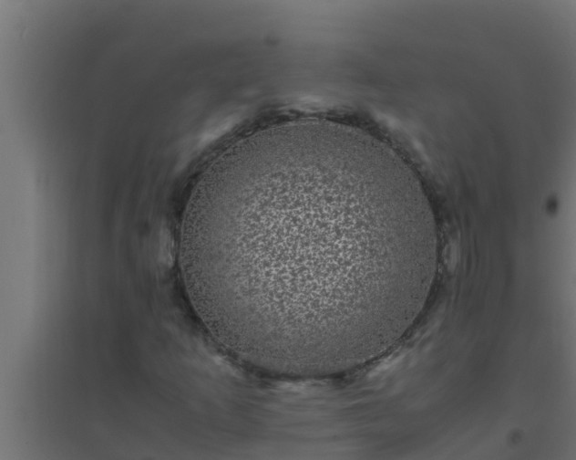 X0000094821253200711241500