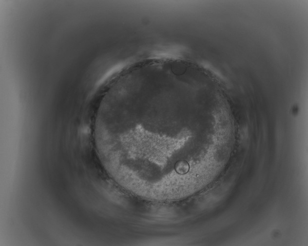 X0000094821254200711241500
