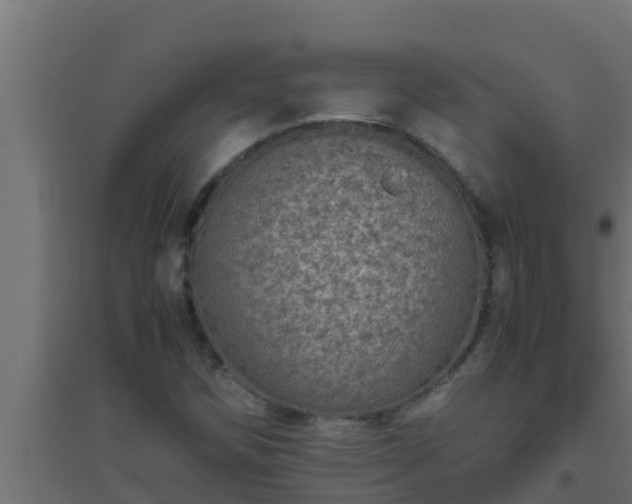 X0000094821258200711241500
