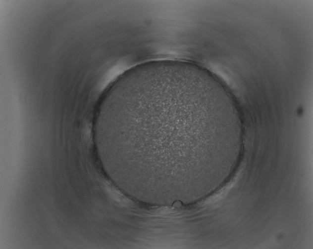 X0000094821259200711241500