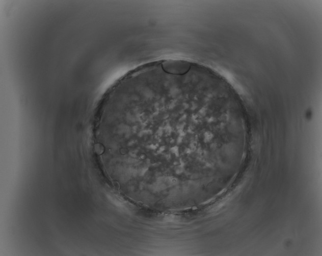 X0000094821263200711241500