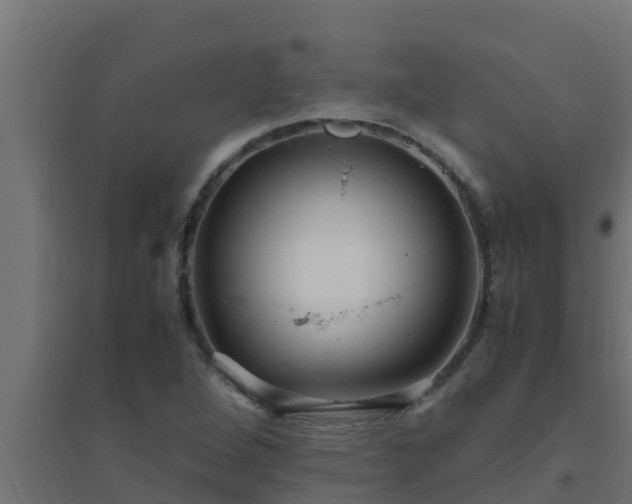 X0000094821264200711241500