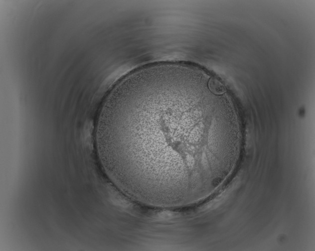 X0000094821265200711241500