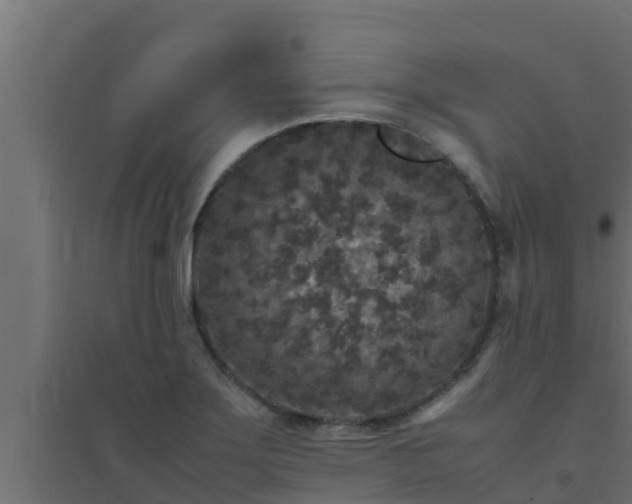 X0000094821275200711241500