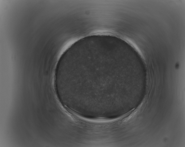 X0000094821277200711241500