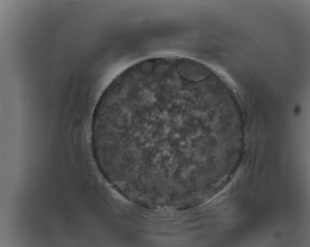 X0000094821279200711241500